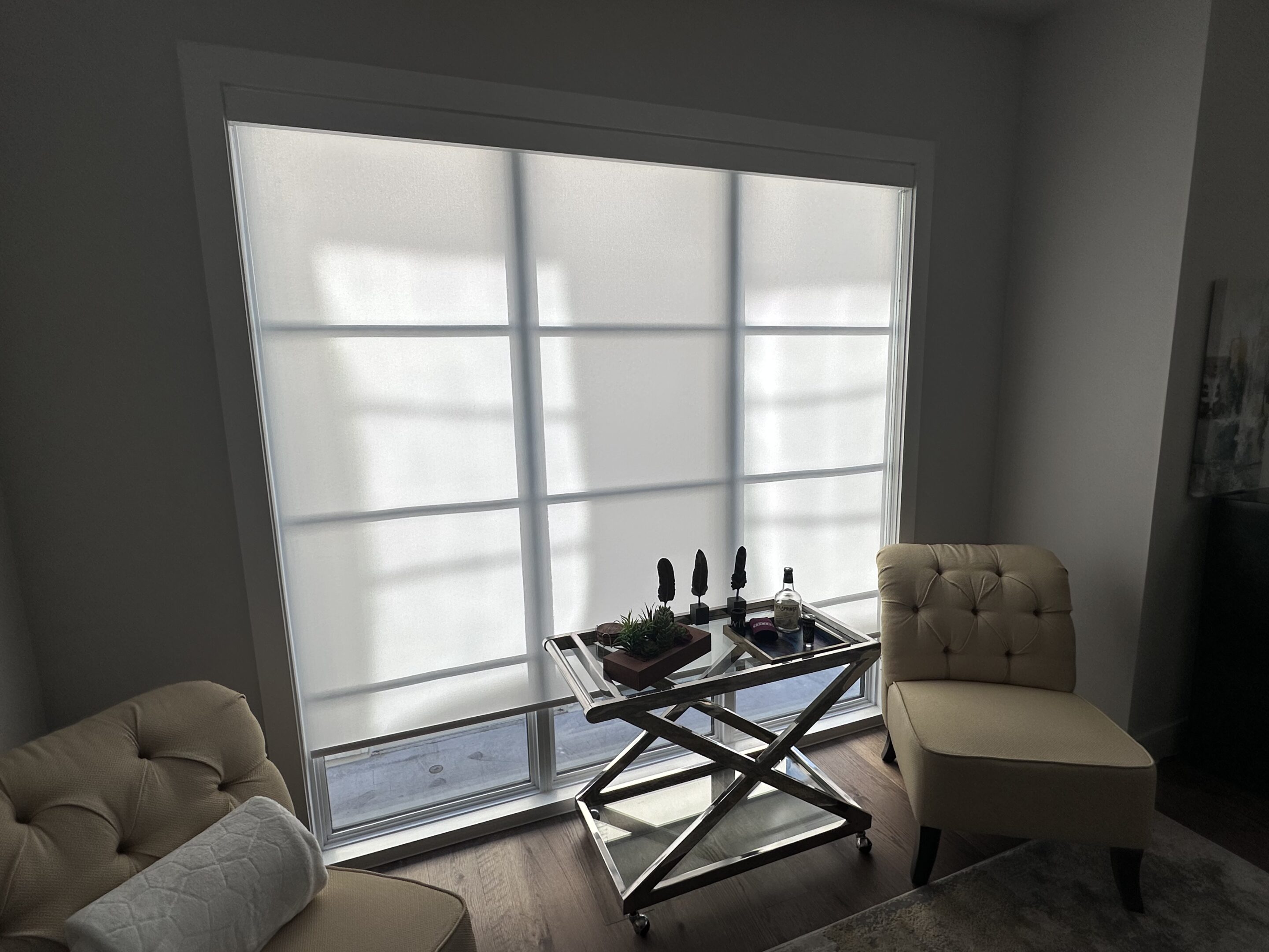 Alta Translucent Roller Shade