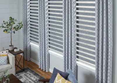 Blue Zebra Shades scaled